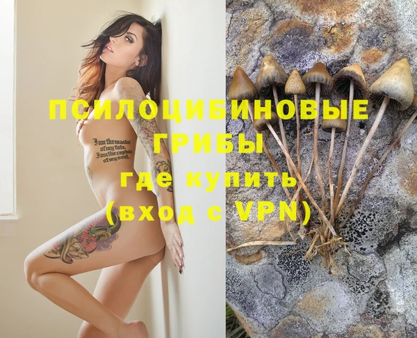 мескалин Кукмор